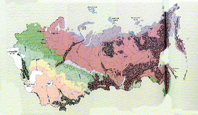 Siberian Forest Map